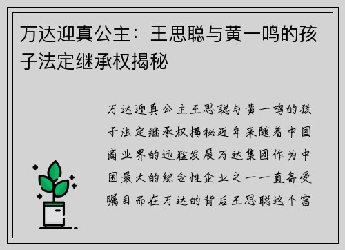 万达迎真公主：王思聪与黄一鸣的孩子法定继承权揭秘